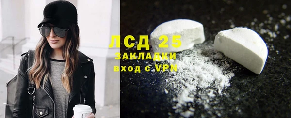 стаф Алзамай