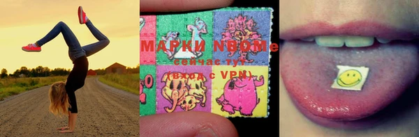 стаф Алзамай
