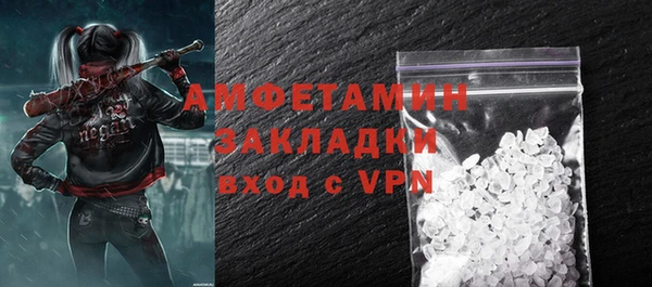 индика Абаза