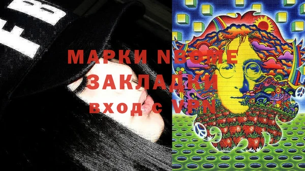 индика Абаза