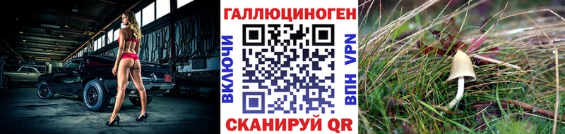 Псилоцибиновые грибы Psilocybe Ливны
