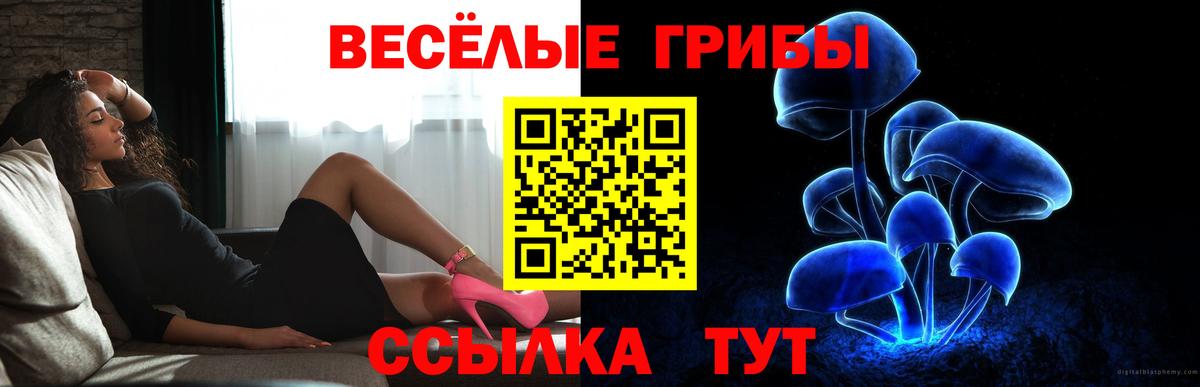 Псилоцибиновые грибы MAGIC MUSHROOMS  Вход с VPN  Ливны 